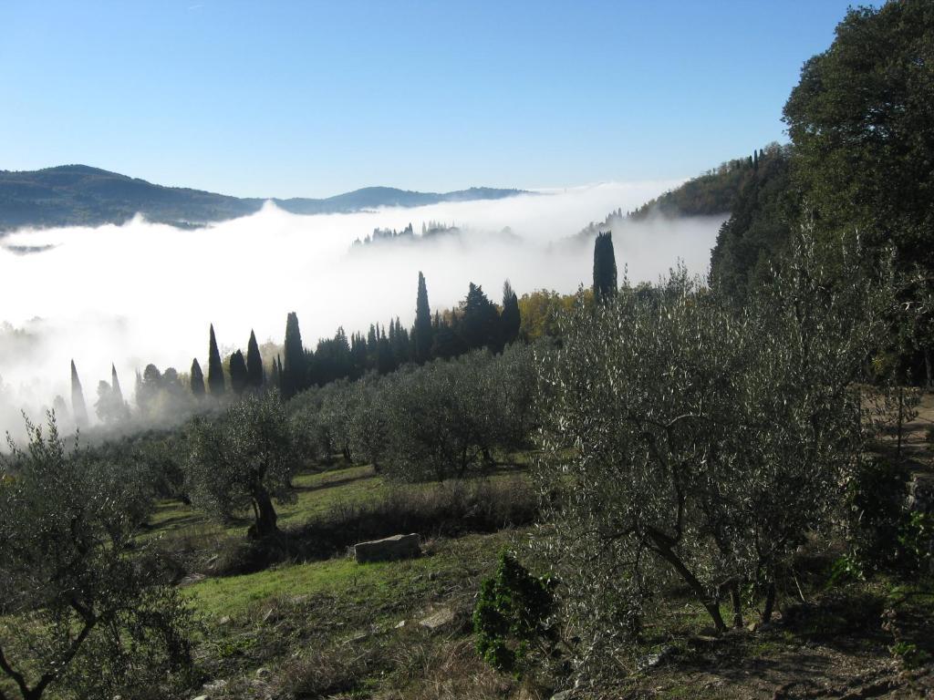 Di Campolungo